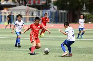 雪莉事件引,发变革,韩国娱乐圈,乐鱼体育官网,LEYU,Sports,足球直播,篮球赛事,体育高清,NBA直播