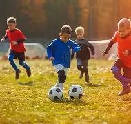 乐鱼体育,资讯,乐鱼体育官网,乐鱼体育官网,LEYU,Sports,足球直播,篮球赛事,体育高清,NBA直播