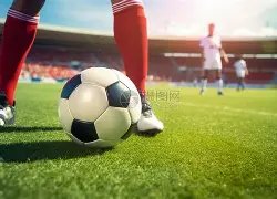 日解说杯,总决赛,对决,乐鱼体育官网,LEYU,Sports,足球直播,篮球赛事,体育高清,NBA直播