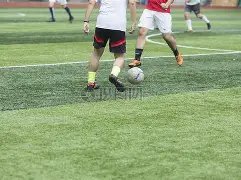 TCL,敢为不凡杯,全球高校电,乐鱼体育官网,LEYU,Sports,足球直播,篮球赛事,体育高清,NBA直播