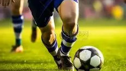 乐鱼体育 产品 090555 pk4