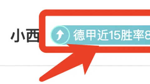 欧冠赛场：维尼修斯巧传，罗德里戈双响建功