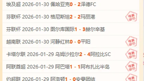 英超探讨增加国内转播赛事，与EFL签订财务伙伴协议